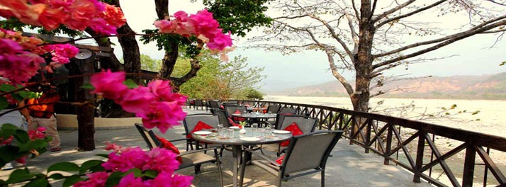 1455/Infinity Resort - Jim Corbett National Park 08.jpg